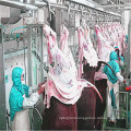 Cattle Poultry Slaughter Line and Slaughter Machinery